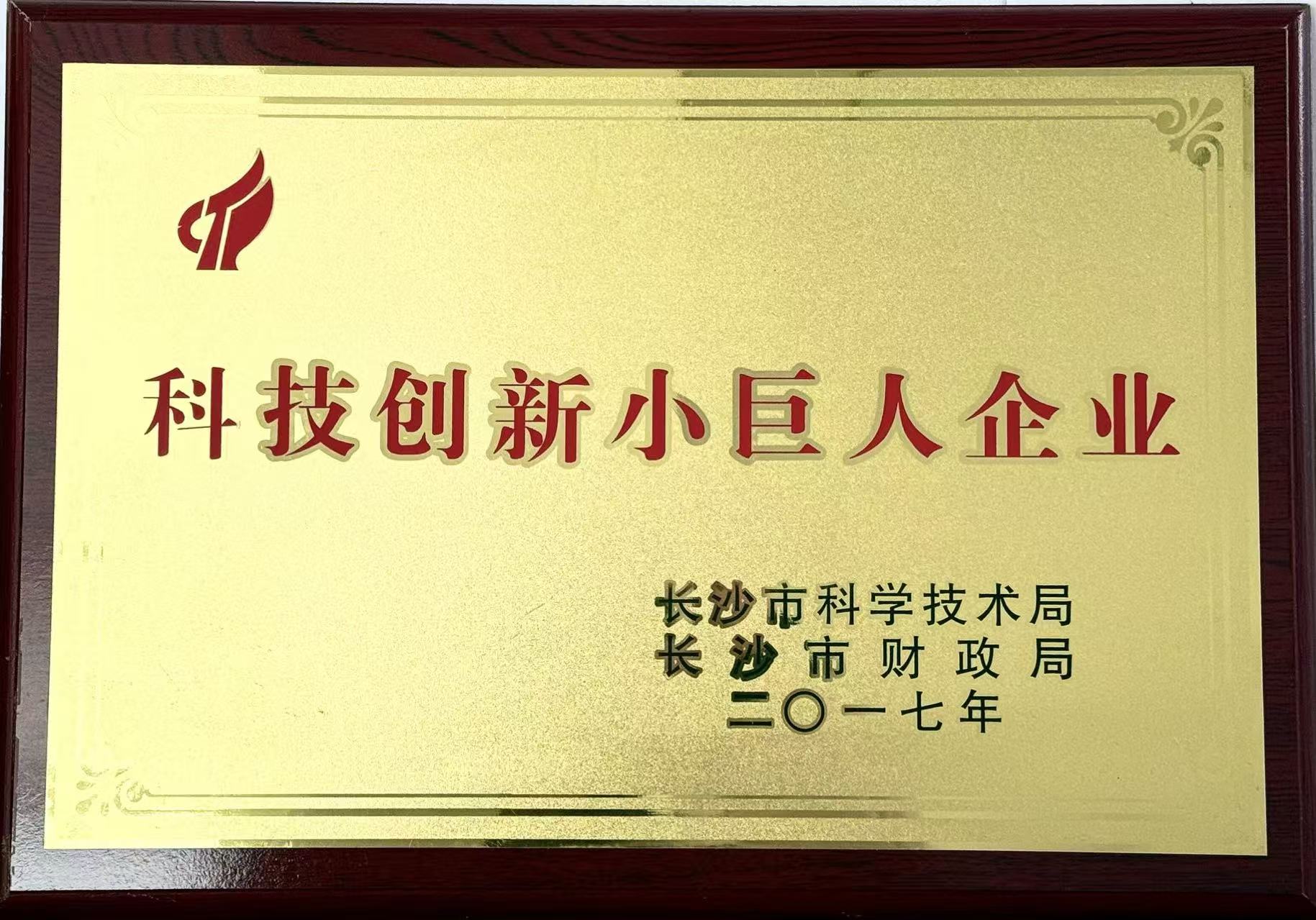 科技創新小巨人企業